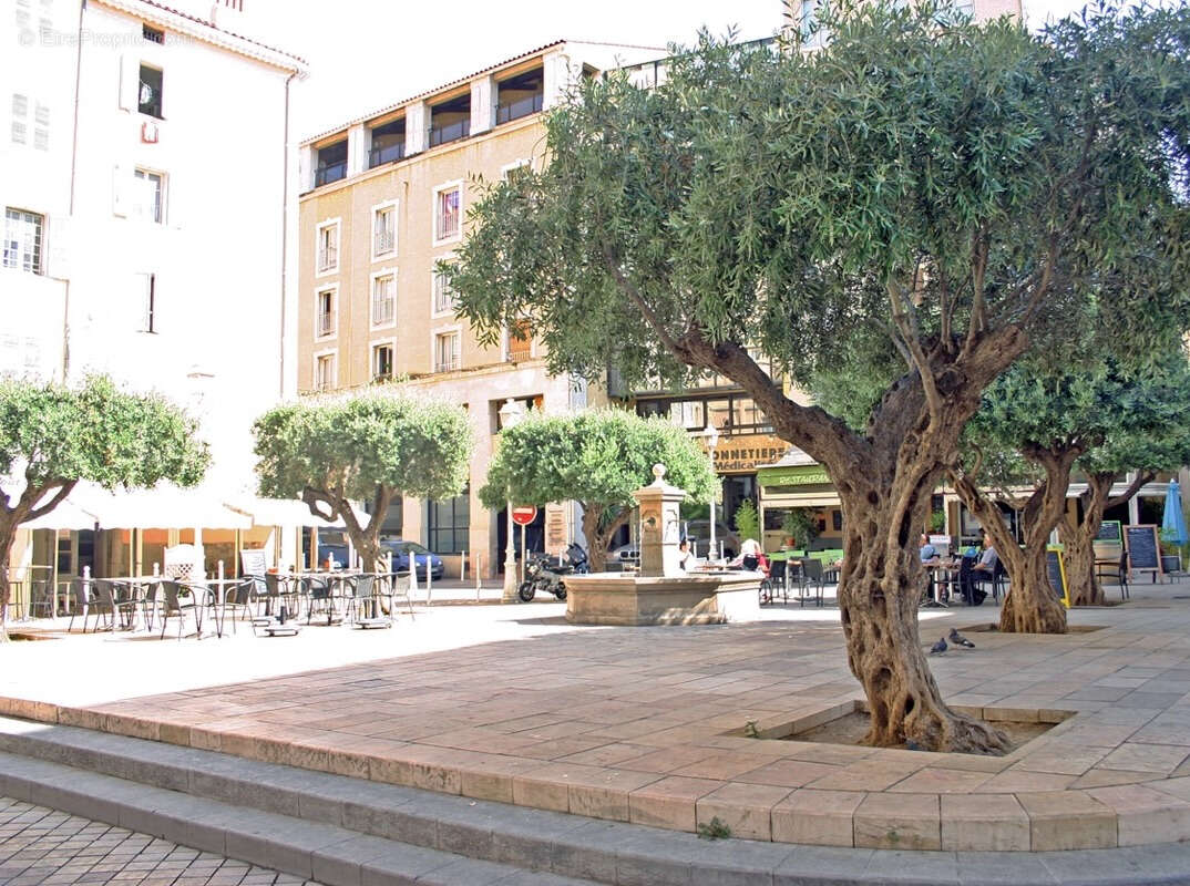Commerce à TOULON