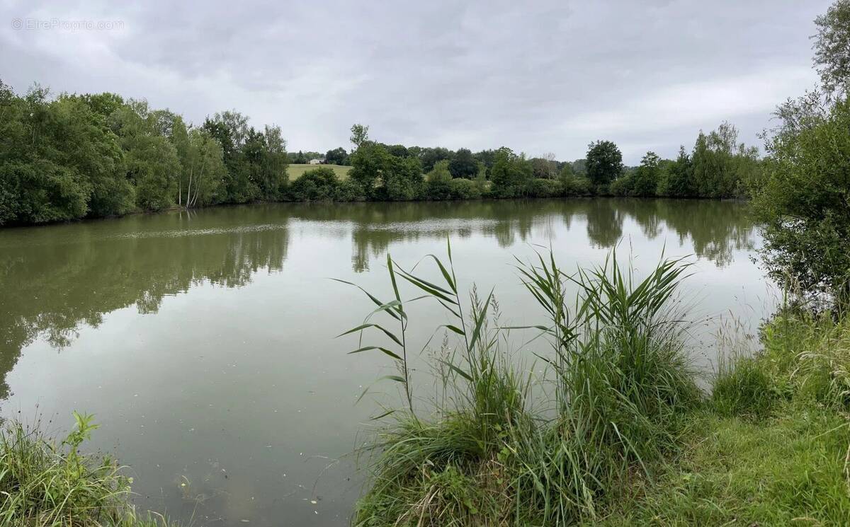 Terrain à FISMES