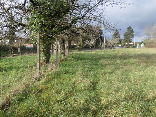 Terrain à LHOMMAIZE