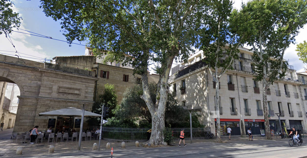 Photo 1 - Appartement à MONTPELLIER