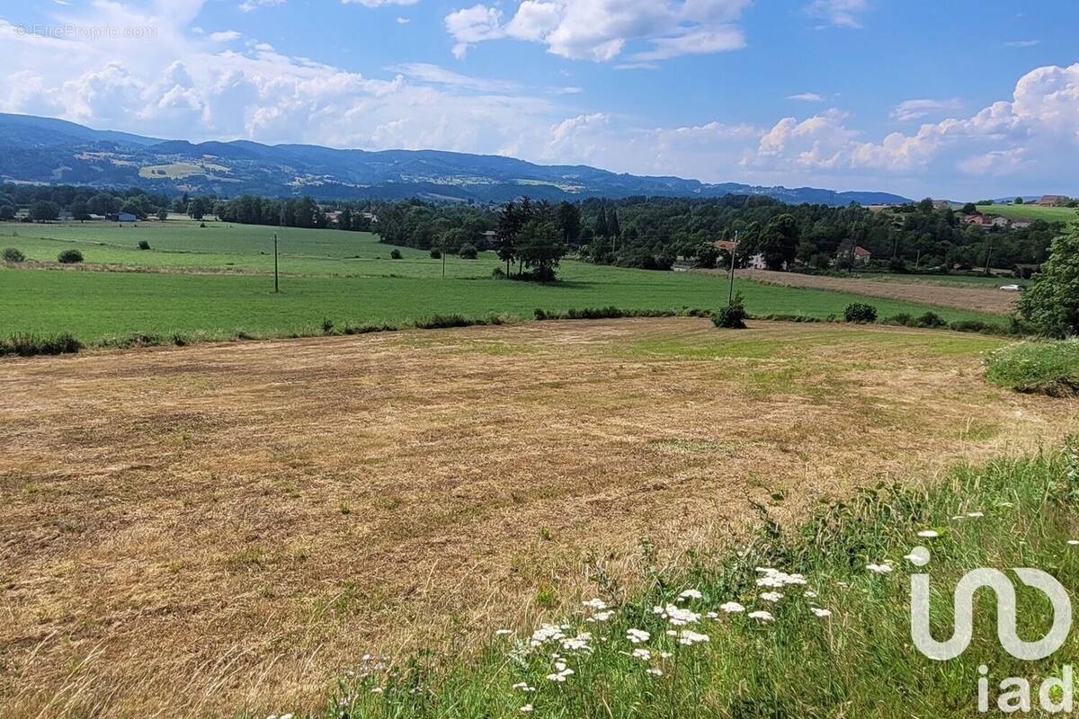 Photo 1 - Terrain à AMBERT