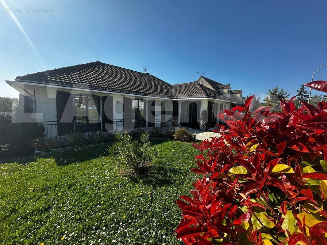 23ad4e65-908d-4187-b4d0-90bfee7870c0 - Maison à NOISEAU