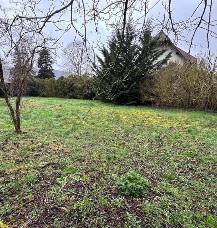 Terrain à BONNIERES-SUR-SEINE