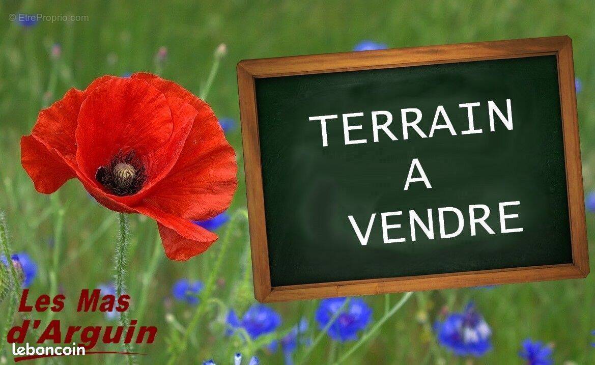 Terrain à ANDERNOS-LES-BAINS