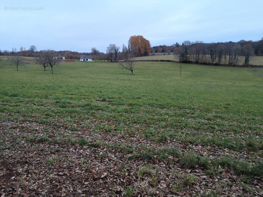 Terrain à SEILHAC