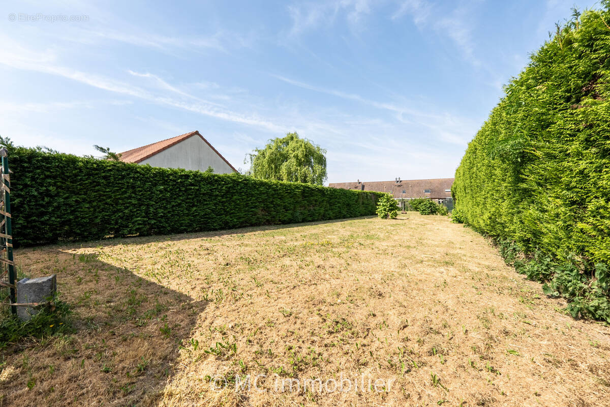 Terrain à AUCHY-LES-MINES