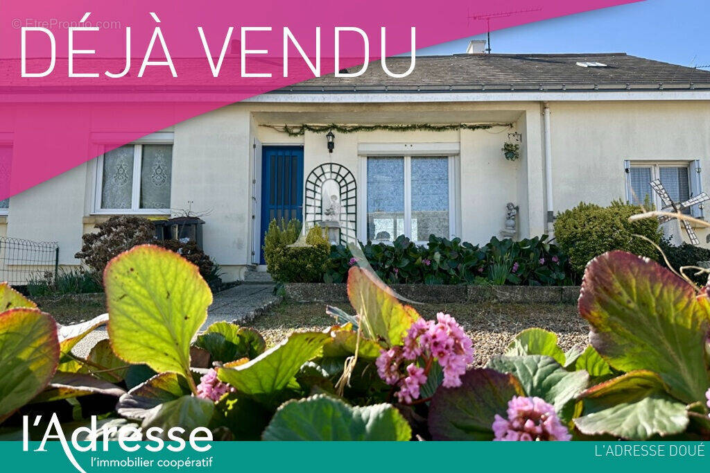 Maison à DOUE-LA-FONTAINE