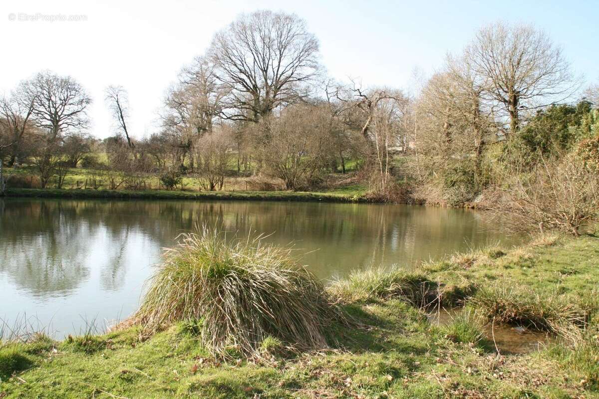 Terrain à JOSSELIN
