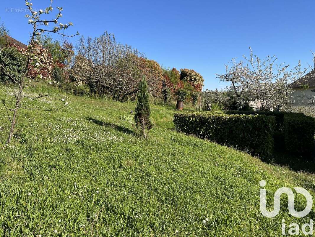 Photo 4 - Maison à JUILLAC