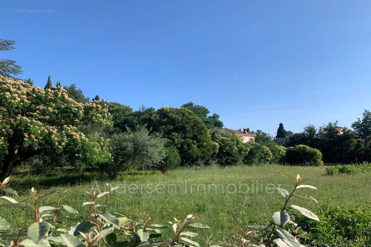 Terrain à PALAU-DEL-VIDRE