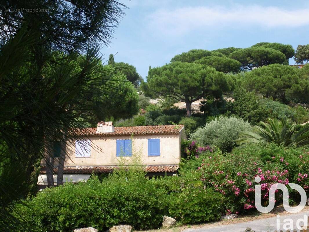 Photo 1 - Maison à LA CROIX-VALMER
