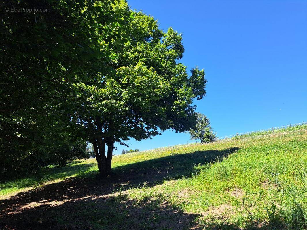 Terrain à JUILLAC