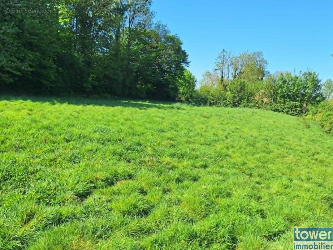 Terrain à CAMBLAIN-CHATELAIN