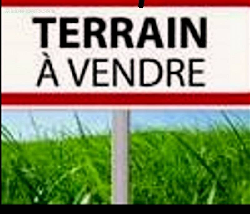 Terrain à MARSEILLAN