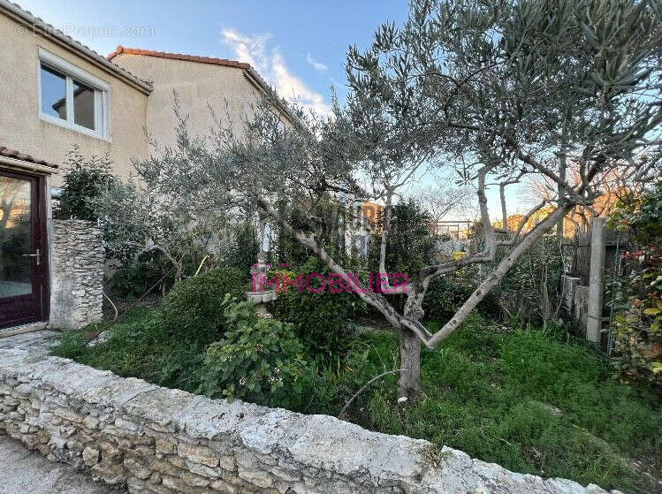 Maison à VEDENE