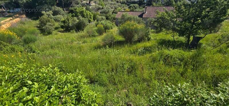 Terrain à SOLLIES-VILLE