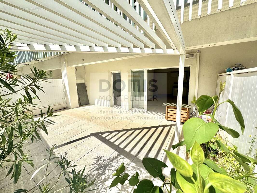 Appartement à MONTPELLIER