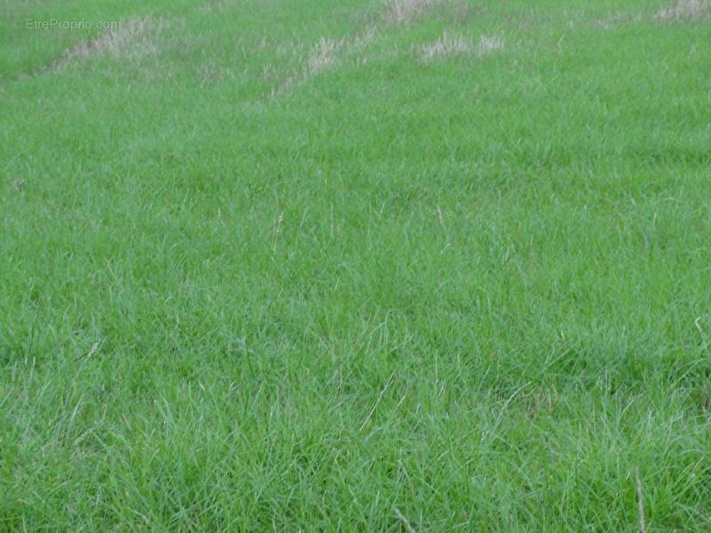Terrain à MELRAND