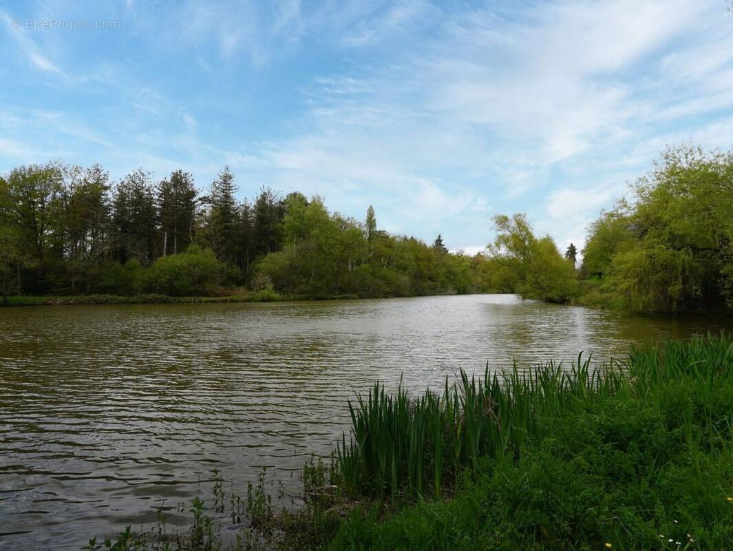Terrain à PLOERMEL