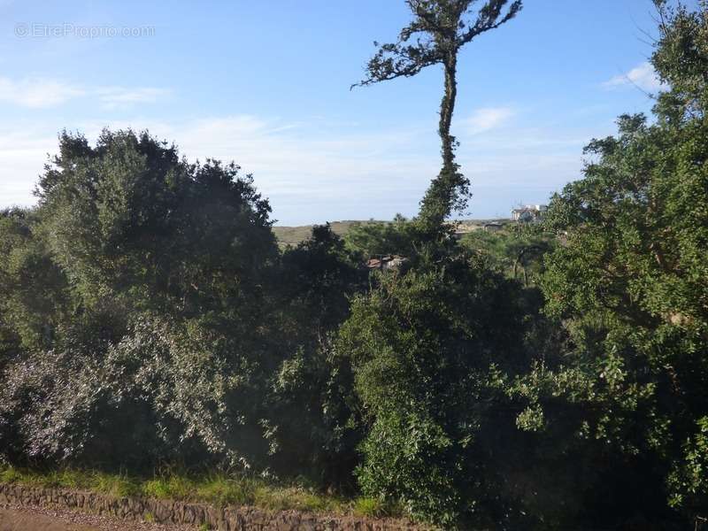 Maison à HOSSEGOR