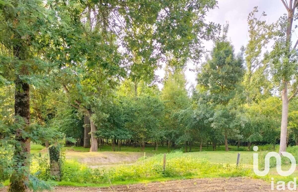 Photo 4 - Maison à APREMONT