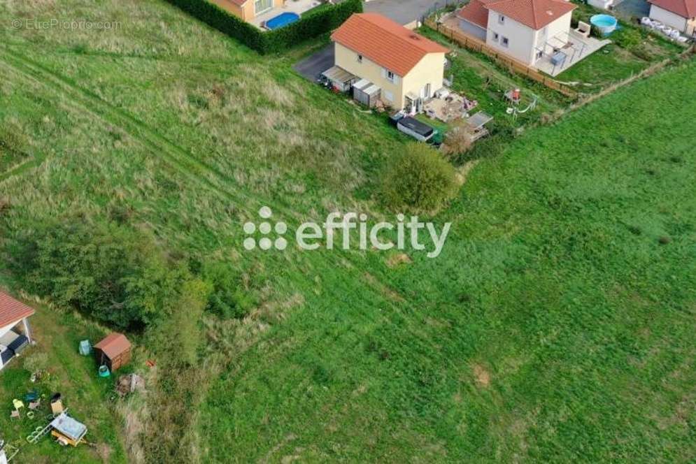 Terrain à TARARE
