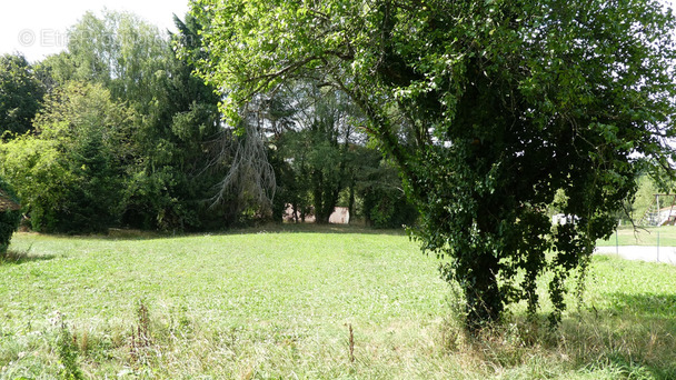 Terrain à CHATEAUNEUF-LA-FORET