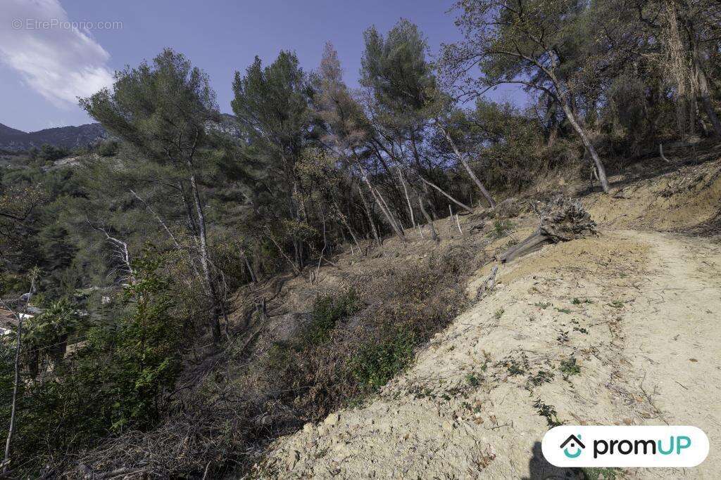 Terrain à GORBIO