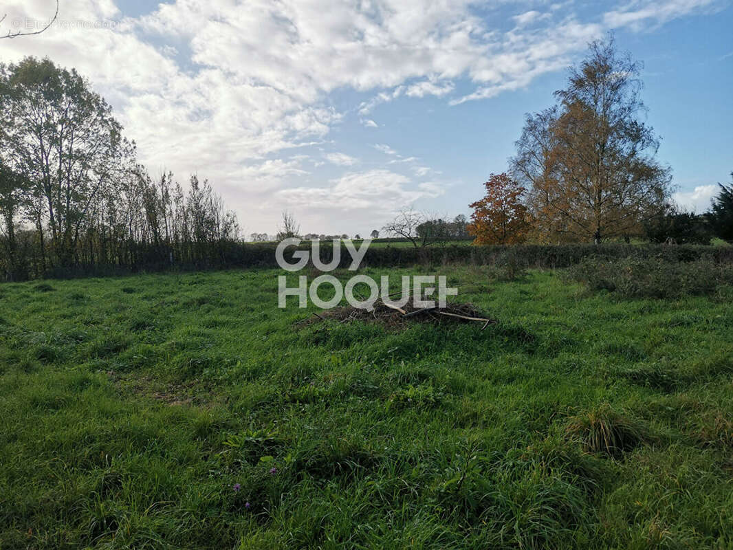 Autre à FOUSSAIS-PAYRE