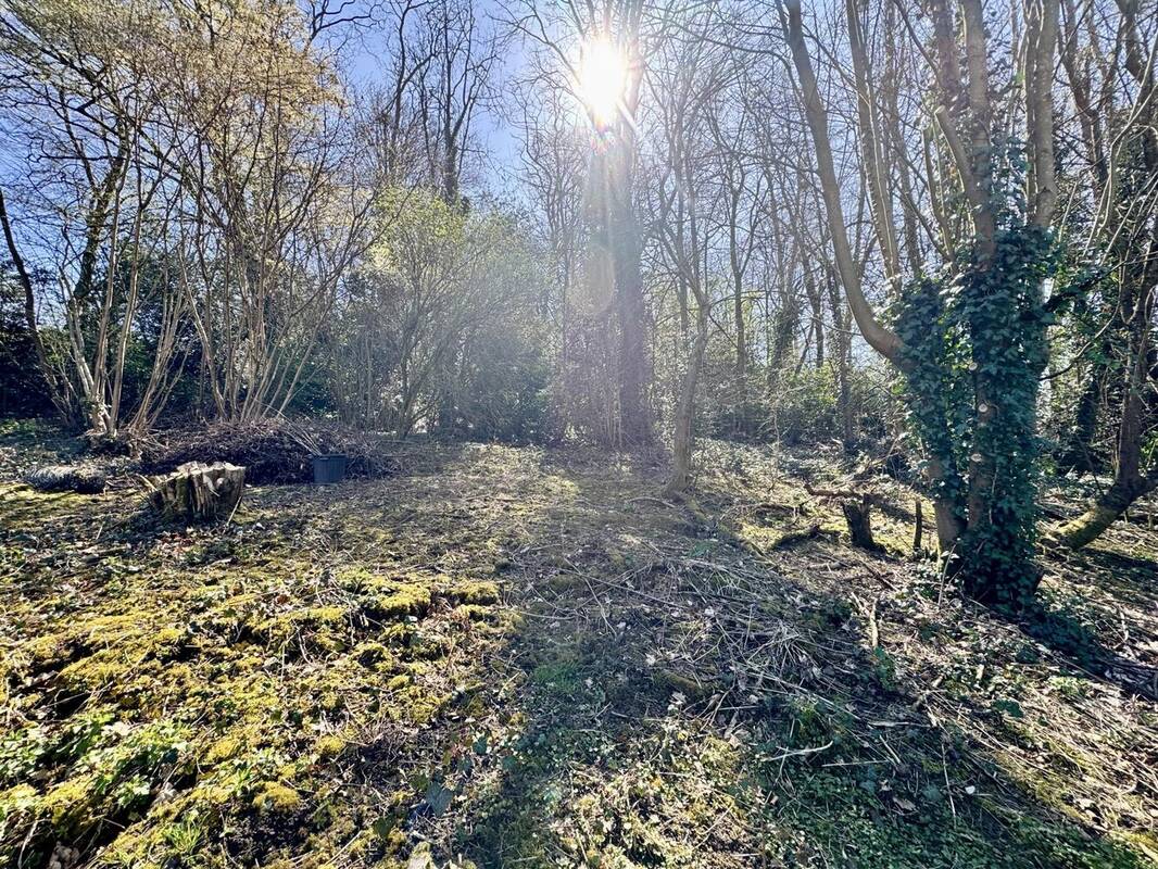 Terrain à MONT-SAINT-AIGNAN