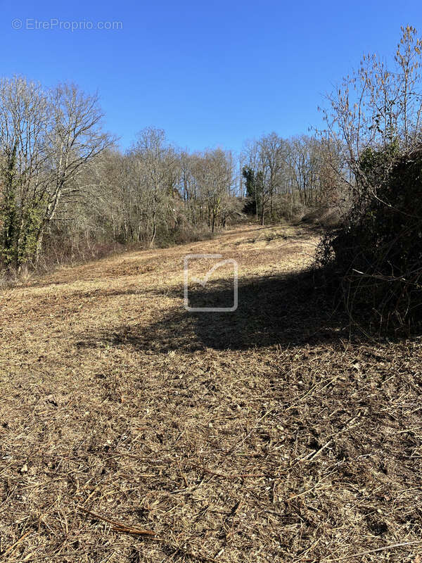 Terrain à MALEMORT-SUR-CORREZE
