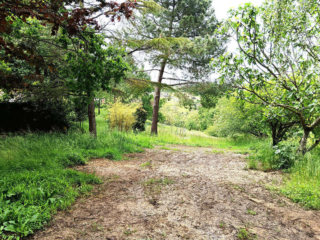 Terrain à MOISSAC