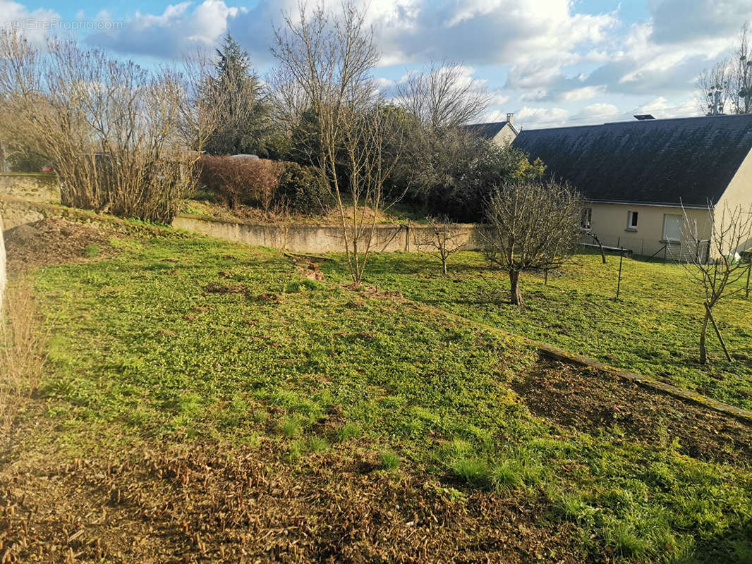 Terrain à BLERE