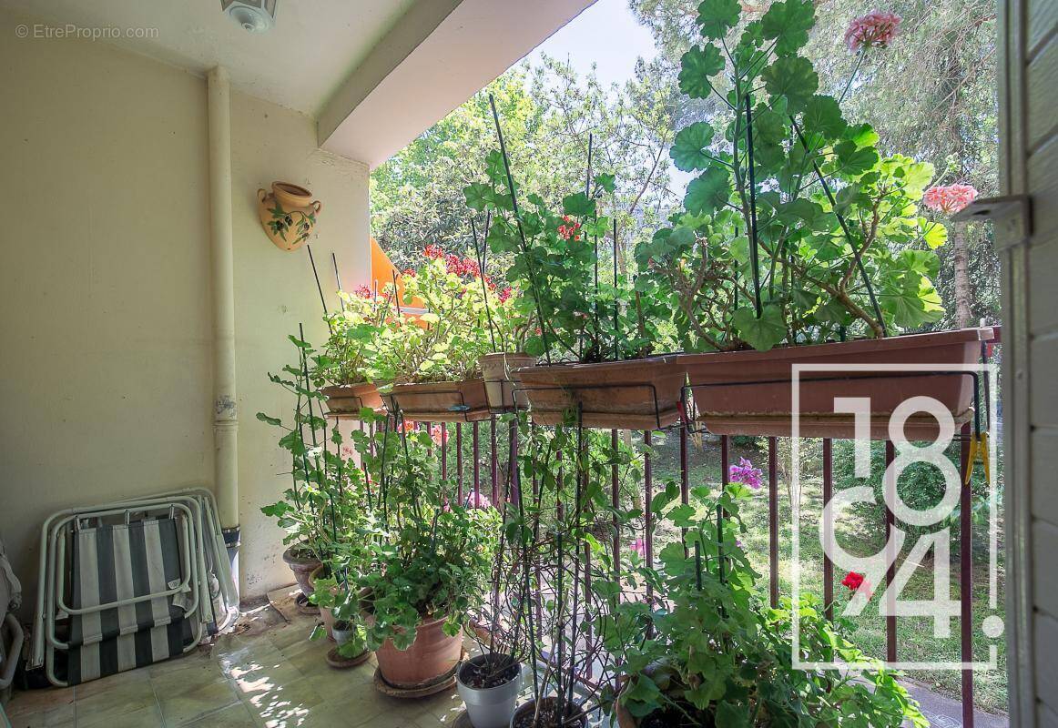 Appartement à MARSEILLE-8E