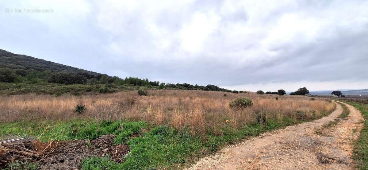 Terrain à VENDEMIAN