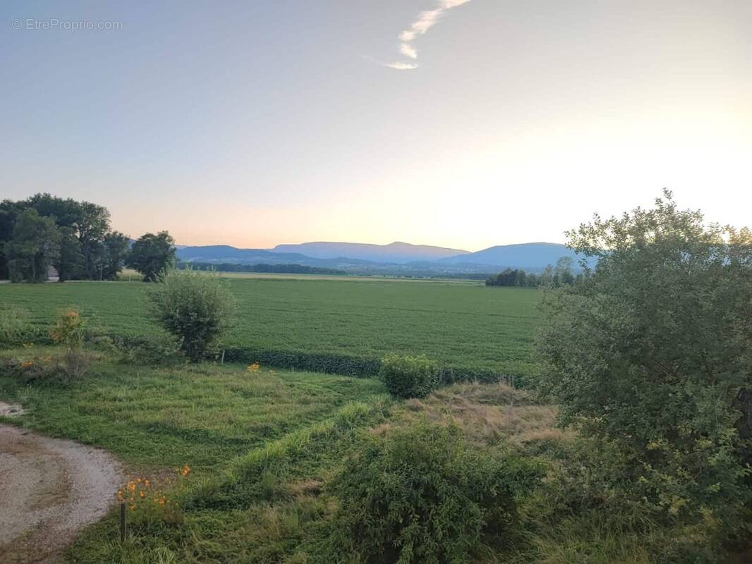 Terrain à CULOZ