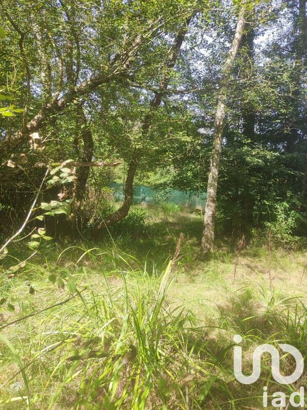 Photo 1 - Terrain à SAINT-SULPICE-ET-CAMEYRAC