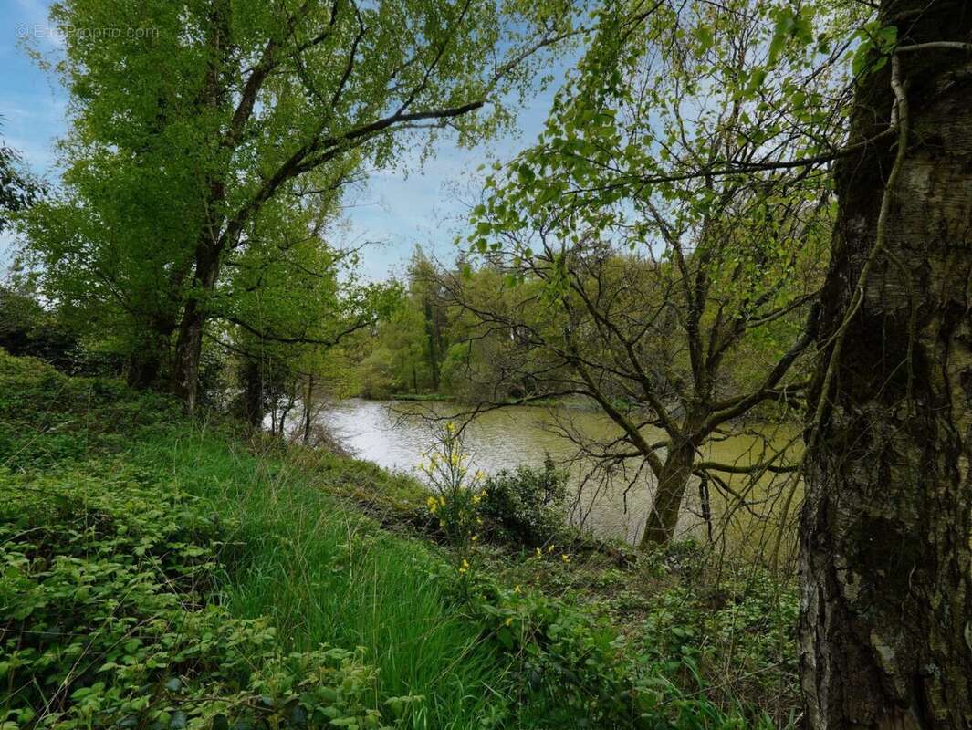 Terrain à PLOERMEL