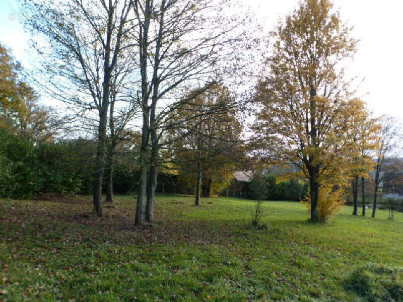 Photo 2 - Terrain à VILLENEUVE-SUR-BELLOT