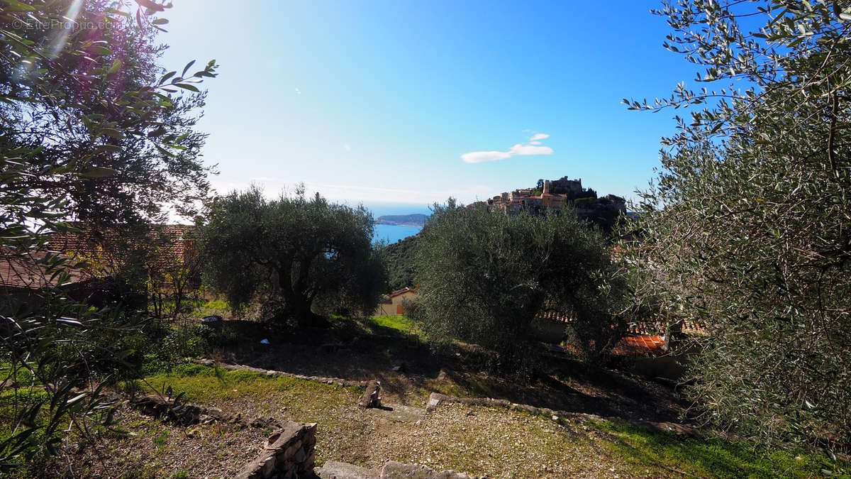 Terrain à EZE