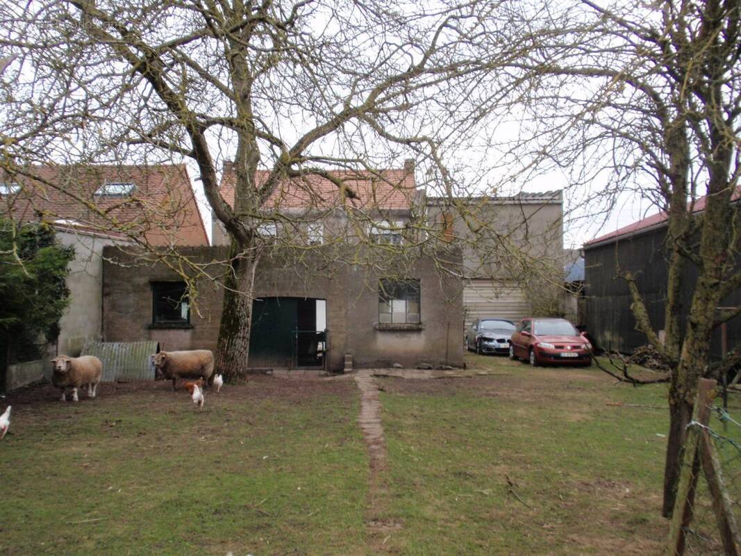Maison à HENIN-BEAUMONT