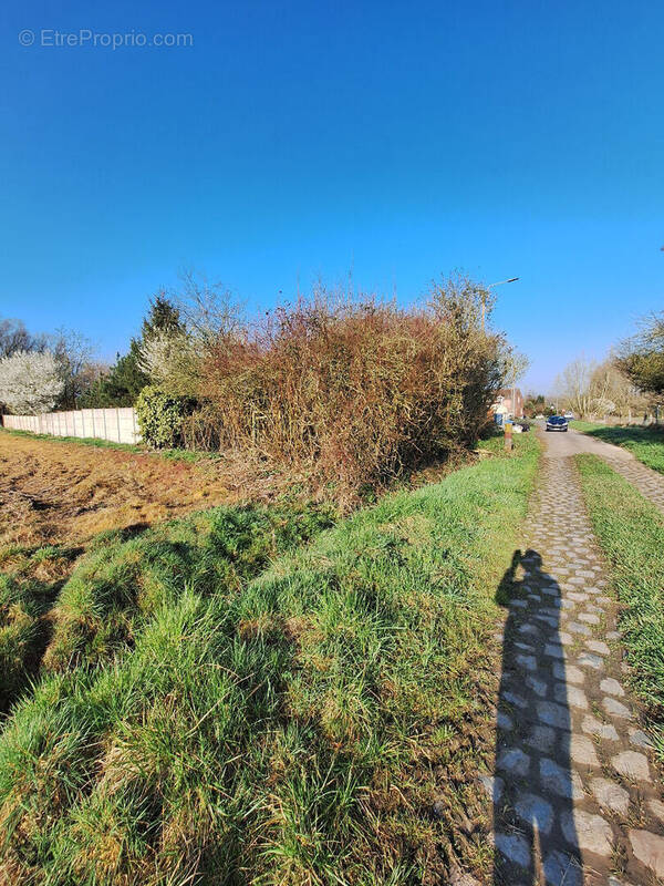 Terrain à MAING