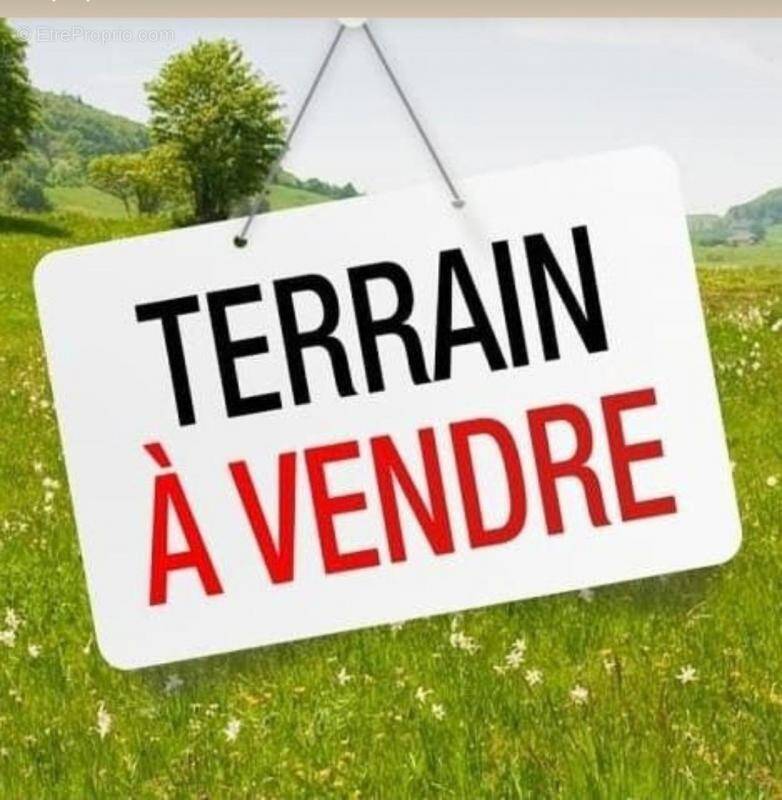 Terrain à LA FERTE-SAINT-AUBIN