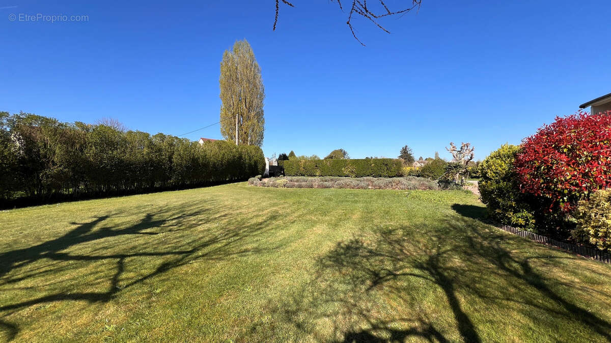 Terrain à NEAUPHLE-LE-CHATEAU