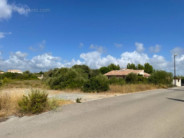 Terrain à LA PALME
