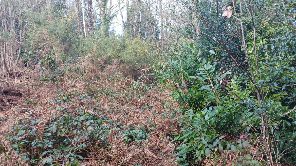 Terrain à LA GACILLY