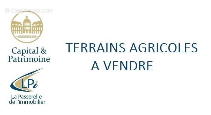 Terrain à MOULIETS-ET-VILLEMARTIN