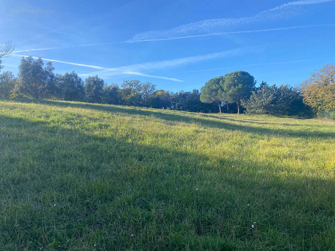 Terrain à ROQUEBRUNE-SUR-ARGENS