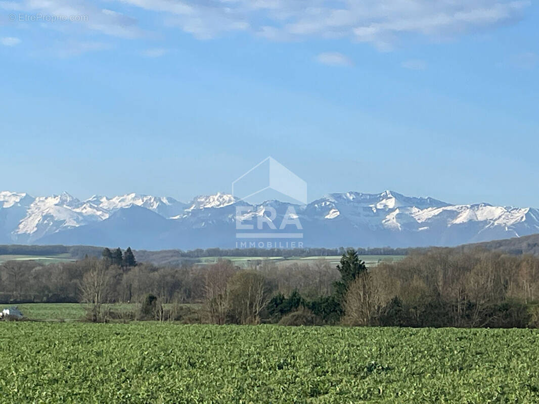 Terrain à BORDES