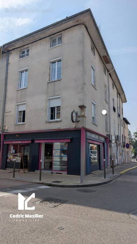 Photo 1 - Appartement à THOISSEY